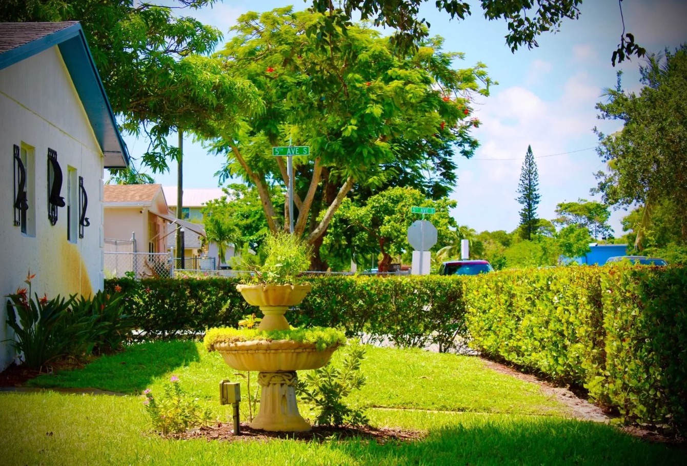 The garden with a stone fountain and a flowering tree.